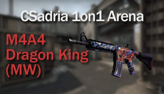 public nagrada, public server, 1on1 arena adria, adria csgo, hrvatska, srbija