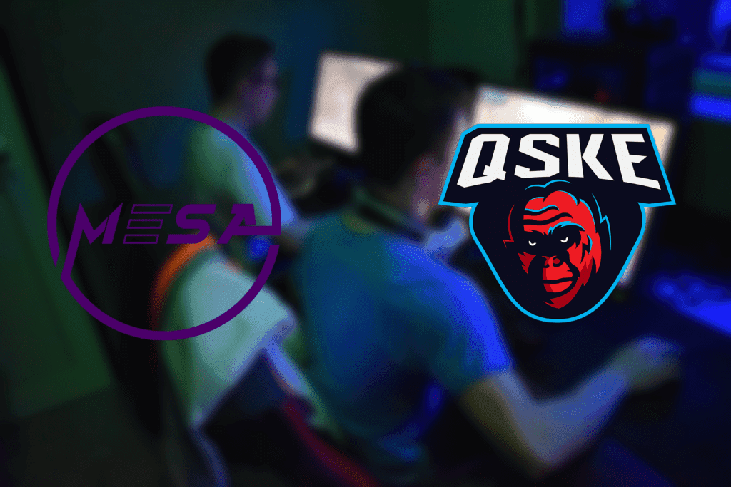 QSKE Gaming MESA_MK