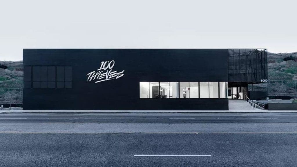 100 Thieves