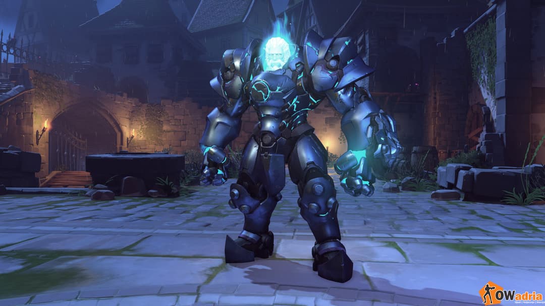 novi reinhardt skin