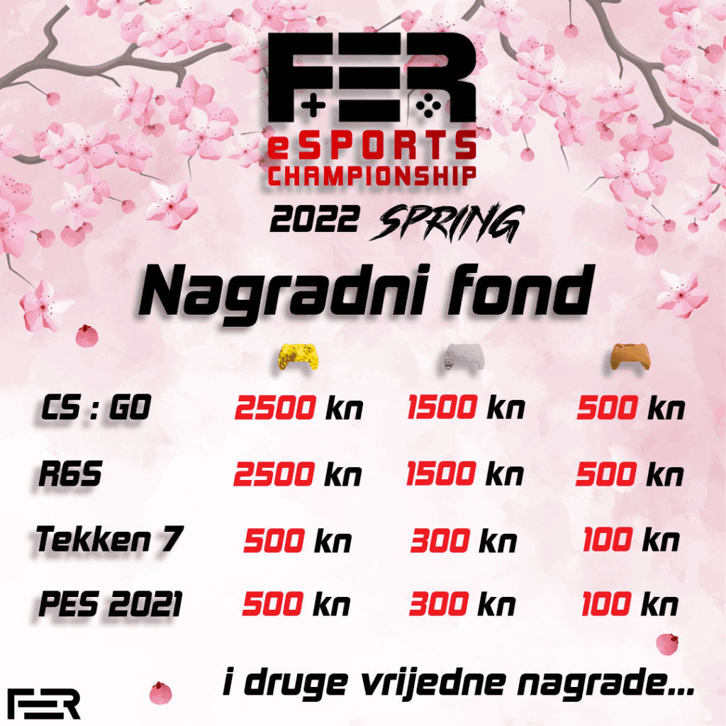 FER Esports Championship - FEC